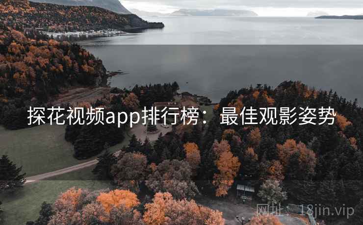 探花视频app排行榜：最佳观影姿势